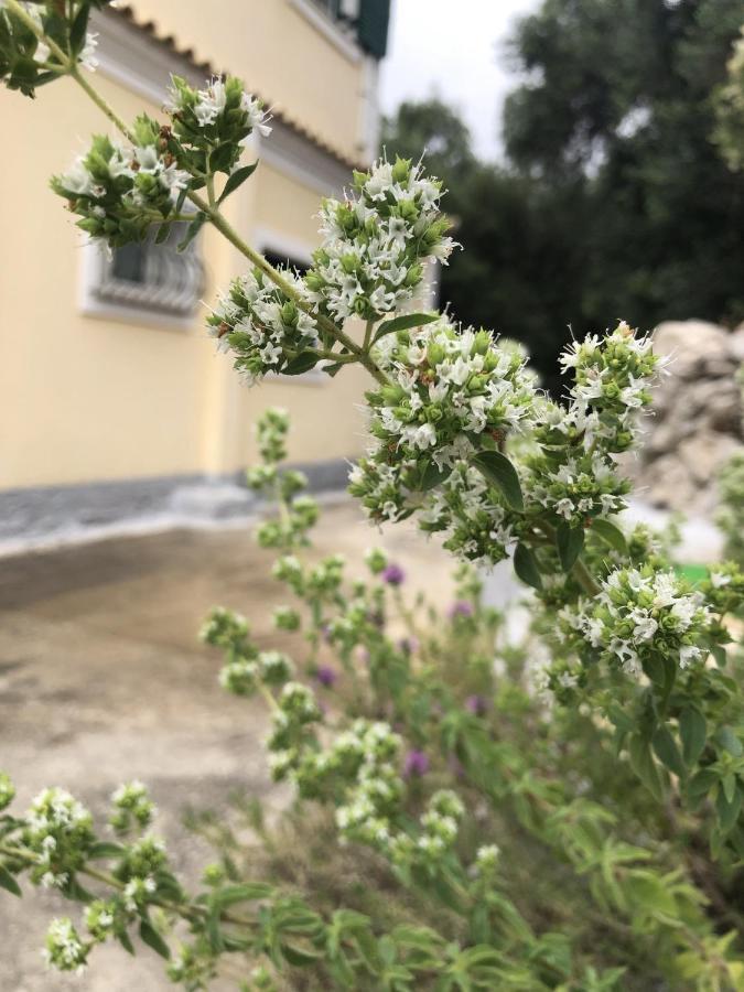 LákonesMariza'S View House公寓 外观 照片